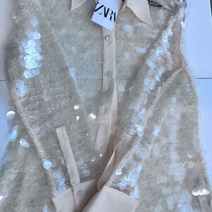 Zara semi sheer sequin top